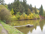 Arboretum K�tiny
